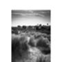 Beach Huts, Walberswick Photographic Art Print, thumbnail 3 of 4