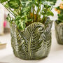Set Of Two Botanical Fern Leaf Planters, thumbnail 3 of 4