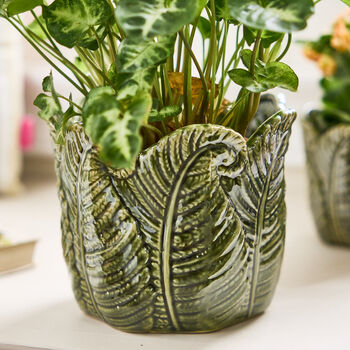 Set Of Two Botanical Fern Leaf Planters, 3 of 4