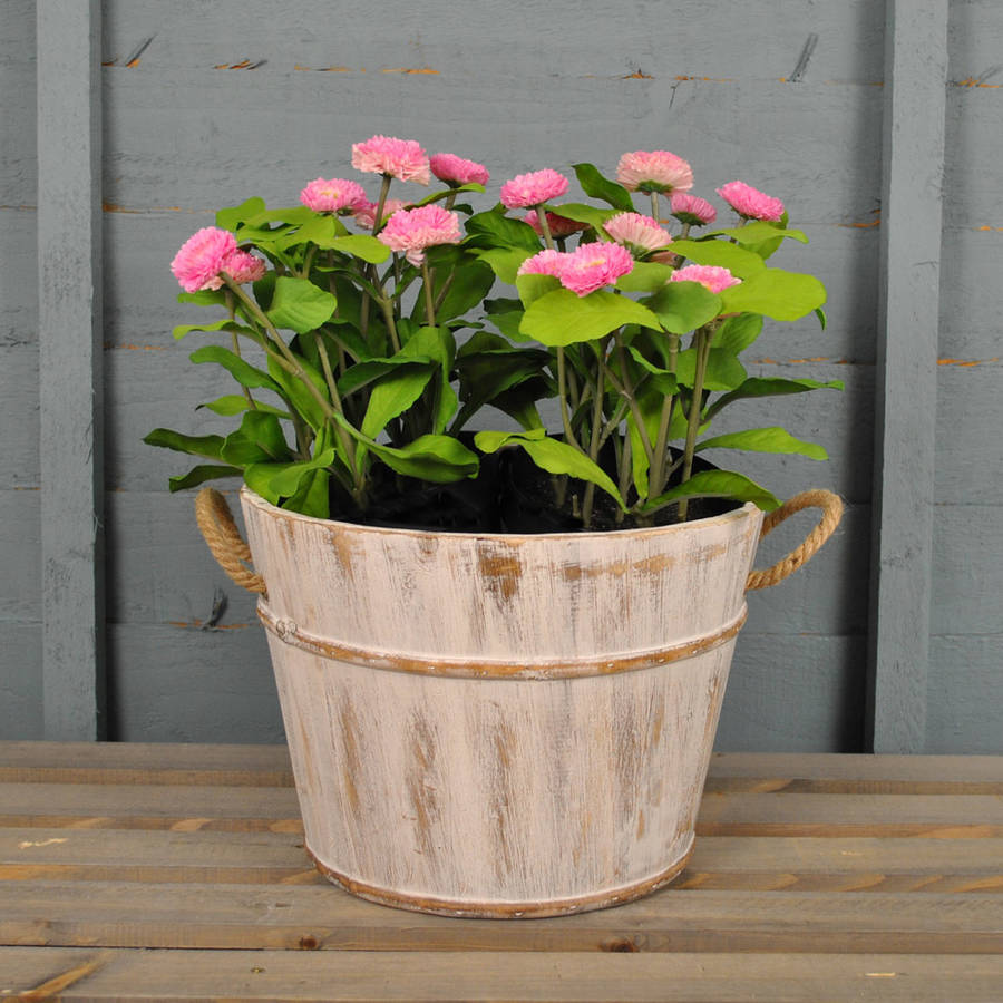 whitewashed wooden pail planter by garden selections