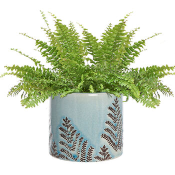 Leaf Patterned Blue Ceramic Plant Pot, 2 of 9