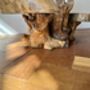 Varnished Teak Root Wooden Plant Multi Level Stand, thumbnail 8 of 12