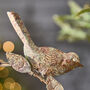 Personalised Heart Bird Feeder, thumbnail 4 of 11