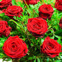 Luxury Red Roses Dozen Roses Premium Bouquet, thumbnail 5 of 7