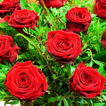 Luxury Red Roses Dozen Roses Premium Bouquet, 5 of 7