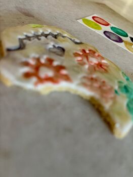 Halloween Paint Your Own Day Of The Dead Biscuits For Gifts Or A Halloween Party, 8 of 8