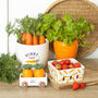 Orange Carrot Shaped Planter With Parsley Seed Balls, thumbnail 4 of 4