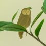 Plant Animal Houseplant Decorations, Multiple Designs, thumbnail 6 of 10