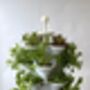 Acqua Garden Two: Solar Powered Vertical Growing System, thumbnail 2 of 6