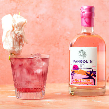 Pangolin Gin, Pink Citrus Hand Crafted Gin, 3 of 7