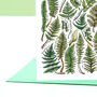 Ferns Of Britain Greeting Card, thumbnail 7 of 7