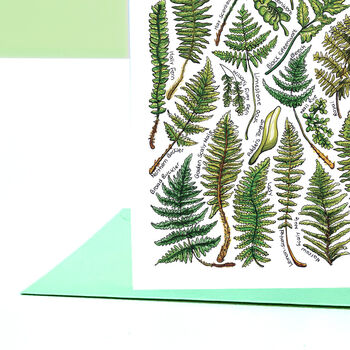 Ferns Of Britain Greeting Card, 7 of 7