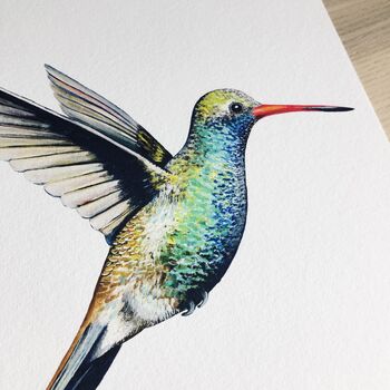 Broad Billed Hummingbird Print, 2 of 9