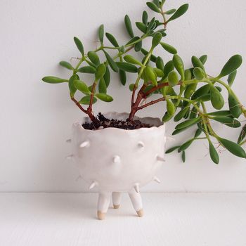 Handmade White Spiky Cactus Planter Plant Pot, 2 of 7