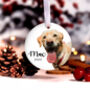 Personalised Dogs First Christmas Bauble Decoration, thumbnail 4 of 10