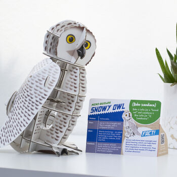 Build Your Own Personalised Snowy Owl, 5 of 10
