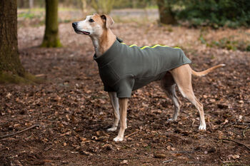 Lurcher Polartec Water Resistant Dog Coat, 5 of 5