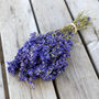Midnight Bloom Purple Dried Flower Delphinium Bunch, thumbnail 1 of 3