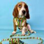 Multi Coloured Stripe Dog Harness Set, thumbnail 6 of 7