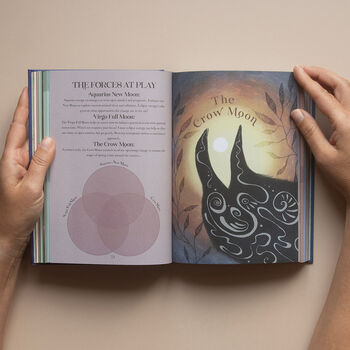 2026 | 13 Moon Journal, 11 of 12