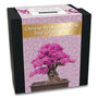 Chinese Redbud Bonsai Tree Starter Kit, thumbnail 2 of 10