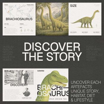 Brachiosaurus 3D Dinosaur Skull Model Replica, 4 of 5