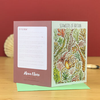 Seaweed Of Britain Blank Greeting Card, 2 of 7
