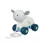 Personalised Pull Along And Push Along Animals And Vehicles, thumbnail 2 of 6