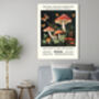 Natural History Exhibition Mushrooms Art Print, thumbnail 2 of 3