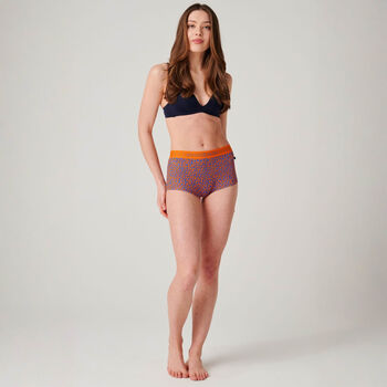 Women's 'Wild Cat' Four Pack Bamboo Hipster Briefs, 7 of 12