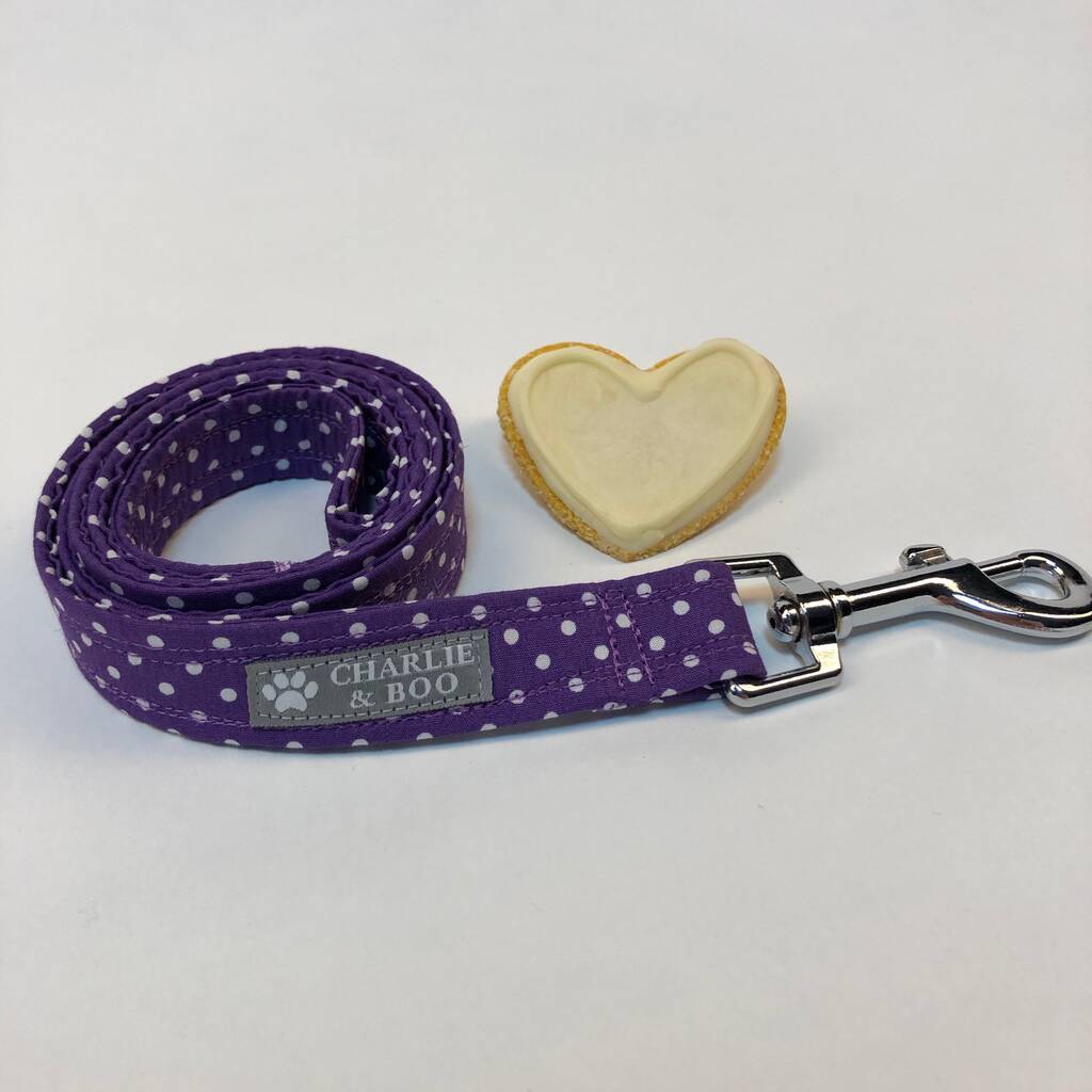 Purple Dog Collar And Lead/Leash Set By Charlie and Boo