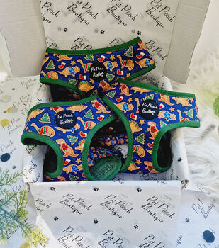 Christmas Dino Rawr Biscuits Dog Harness, 4 of 8