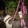 Make Your Own Pink Dog Lead Craft Kit, thumbnail 4 of 8