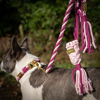 Make Your Own Pink Dog Lead Craft Kit, 4 of 8