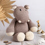 Sophia The Hippo Cotton Easy Knitting Kit, thumbnail 1 of 12