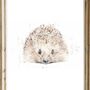 The Great British Wildlife Collection Four For Three, thumbnail 7 of 9