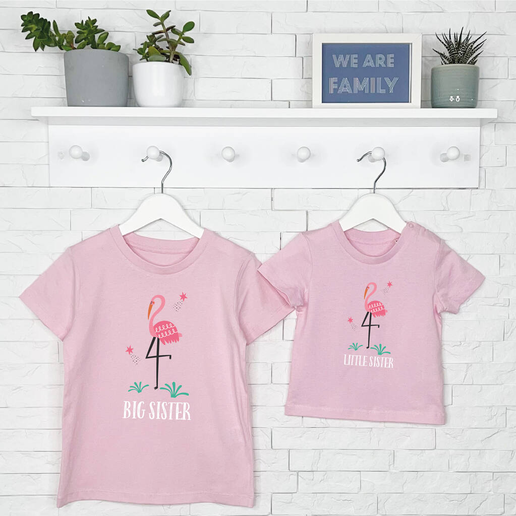 Flamingo Big Sister Little Sister T Shirt Set, 1 of 4