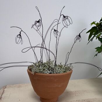 Wire Snowdrops In Handmade Egg Cup Shape Terracotta Pot, 7 of 7
