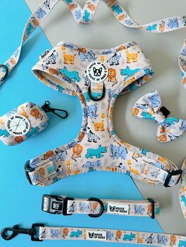 Safari Print Dog Harness Bundle Collar And Lead Set, 12 of 12
