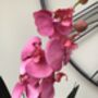 Pink Artificial Silk Orchid Mothers Day Gift, thumbnail 5 of 6
