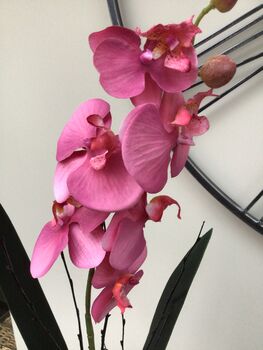 Pink Artificial Silk Orchid Mothers Day Gift, 5 of 6