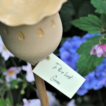 Yellow Personalised Poppy Seed Head, 5 of 7