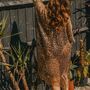 Leopard Print Viscose Metallic Kimono Beach Coverup, thumbnail 3 of 5