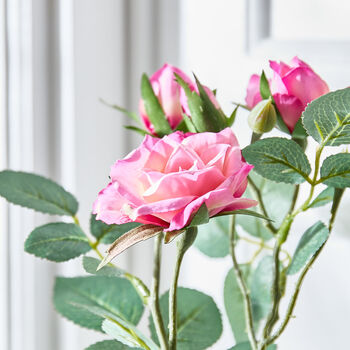 Pink Rose Spray In Glass Vase, 2 of 5