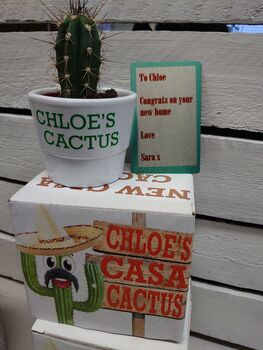 Personalised Cactus, 2 of 10