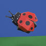 Create Your Own Ladybird, thumbnail 1 of 3