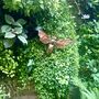 Copper Bumblebee Wall Hanging – Garden Fence Decor – Handmade Metal Bee Art, thumbnail 6 of 8