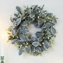 Mistletoe Frosted Door Wreath, thumbnail 1 of 3