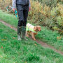 Personalised Reflective Dog Safety Coat / Vest / Jacket, thumbnail 6 of 12