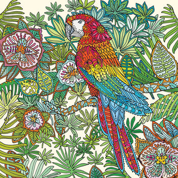'Parrot' Print, 3 of 3